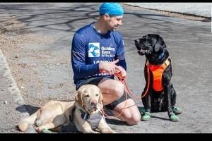 Watch - Guide Dogs show the way to victory