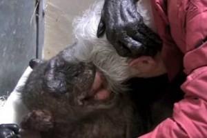 VIRAL VIDEO: Last Moments of Old Friendship Make Viewers Shed Tears!