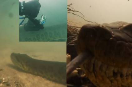 Giant Anaconda,scuba divers in brazil river, Viral video