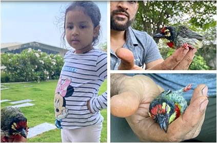 Dhoni\'s Daughter Ziva tells how her Father Rescued a bird