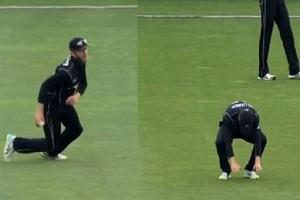 VIDEO: Kane Williamson's Funny Misfielding Against Pakistan; Laughter Guaranteed!