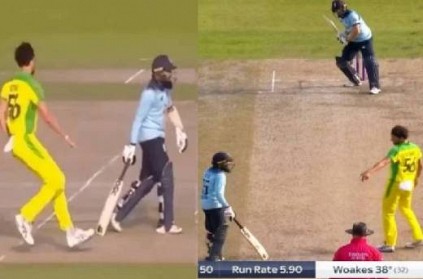 mitchell starc does not mankad adil rashid let off with warning