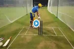 VIDEO: MS Dhoni on Strike Amidst Roaring Crowd in Chennai