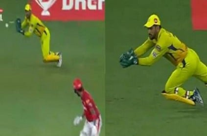 msdhoni achieves huge milestone with superb diving catch ipl2020