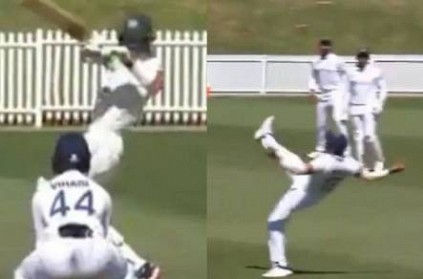 prithvi shaw takes one handed stunner to dismiss tim paine video