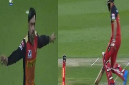 rcb moeenali gets runout off a freehit against srh twitter reacts