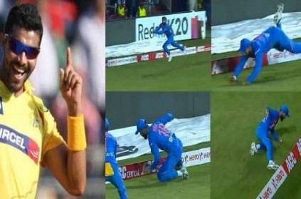 Video: Kohli takes stunning catch; CSK gives credit to Jadeja!