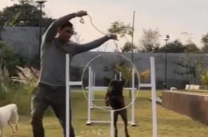 Viral video: Dhoni trains his dog at Ranchi farmhouse