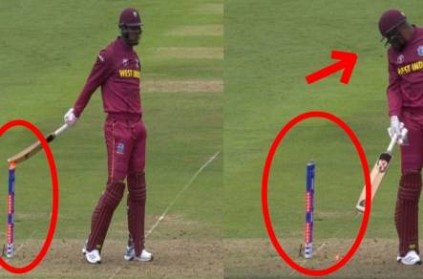 west indies cricketer smashes his own wickets with bat