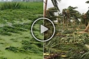 Watch Video: 'சென்னை மட்டும் தமிழகம் அல்ல'.. எங்களையும் கொஞ்சம் கவனிங்க!