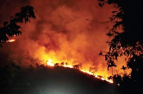 தேனி காட்டுத் தீ: பலியானவர்களின் எண்ணிக்கை 13 ஆக உயர்வு