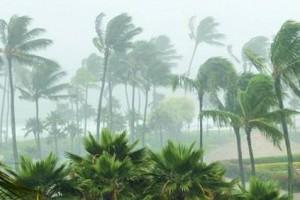 வங்கக்கடலில் வலுப்பெறும் 'புதிய காற்றழுத்த' தாழ்வு பகுதி.. புயலாக மாறுமா?