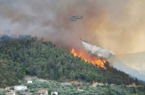 தேனி காட்டுத் தீயில் சிக்கி 5 பேர் பலி?