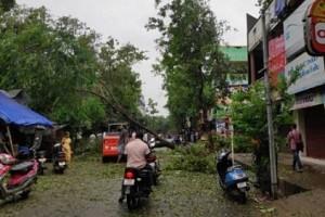 உயிரிழந்த 10க்கும் மேற்பட்டோரது குடும்பத்துக்கு தலா 10 லட்சம்: தமிழக அரசு!