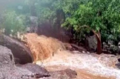 22-year-old dies taking selfie atop waterfall in Tamil Nadu  