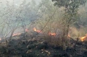 After Theni forest fire, Kerala bans trekking in reserved forests
