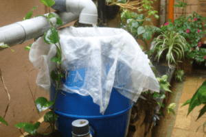 Chennaiites Nail Rainwater Harvesting; Collect 1,00,000 Litres In 3 Hours