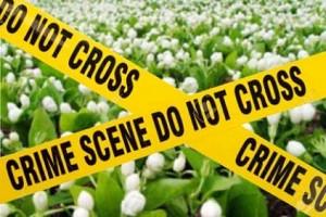 Crime: 14-year-Old Boy murders 9-year Old Girl after Rape attempt in a Jasmine farm in TN!
