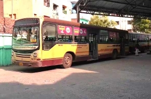 Bus strike: Passengers panic after emergency measure causes accidents
