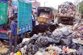 Chennai woman saves 5 lorries of garbage in front yard
