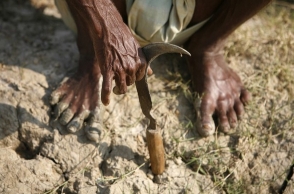 Cuddalore: Farmer kills family, commits suicide