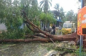 Cyclone 'Ockhi': Death toll in TN rises