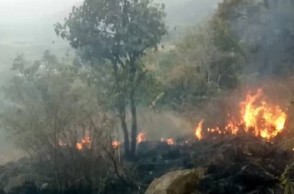 Theni forest fire: Death toll climbs to 16