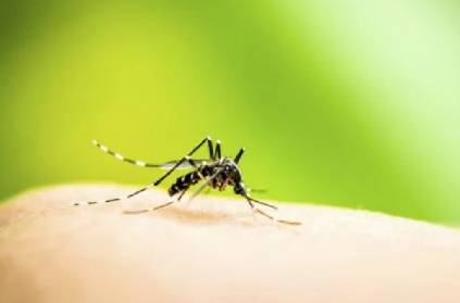 Dengue hits Tamil Nadu, 2 children dead including 8-month-old baby