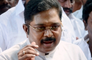 DMK supporters possibly voted for me: TTV