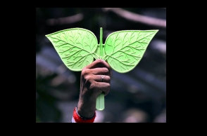 EC adjourns hearing on two leaves