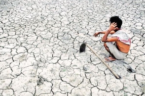 Farmer commits suicide after bank seizes tractor