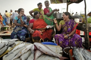 Fish from this place in Chennai loaded with poison, highly unsafe for consumption