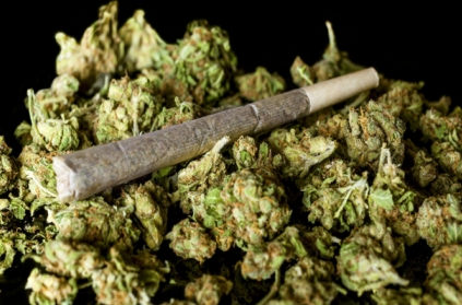 Fishermen get 50 kg of ganja floating in sea in TN Fishermen get 50 kg of ganja floating in sea