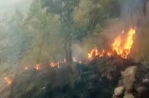 Forest fire in Theni: Newly-wed man among killed