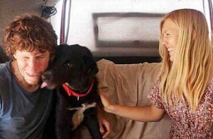 German couple’s lost dog found in Marina beach after over 3 months
