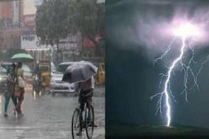 Heavy rain predicted in next 24 hours in Tamil Nadu and Pondicherry!