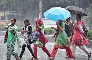 Holiday declared for colleges in 4 districts