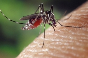 IIT Madras student dies due to dengue