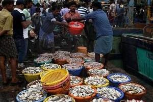 Trading Fish and Corona: Kasimedu Fish Market - Next COVID-19 Hotspot?