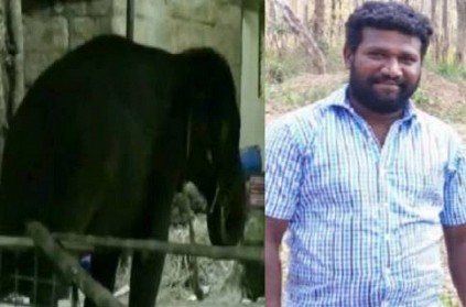 mahout trampled to death by elephant in Madurai temple