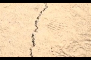 Metro Rail work causes huge crack on Chennai road, traffic affected