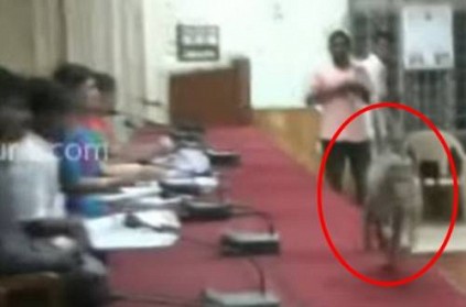 Monkey attends TN Minister\'s meeting viral video