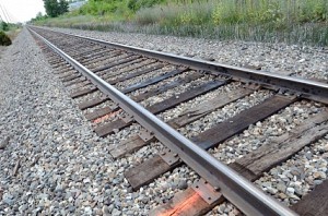 Mother jumps with two children before train in Thiruvallur