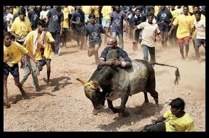 New Jallikattu guidelines issued by AWBI