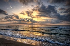 New update on rains in TN