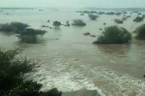 Palar river is flooded, 15 villages cut off