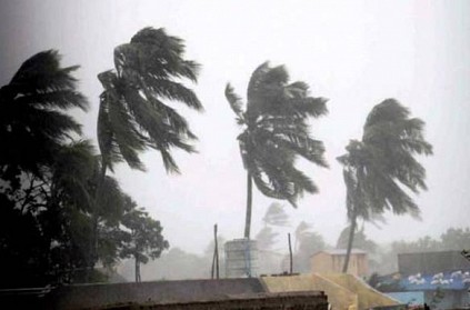 Rains in TN! Schools shut in these districts