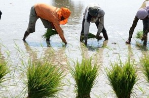 Farmers stage protest in Nungambakkam
