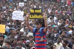 Summon for actors who participated in Jallikattu protest