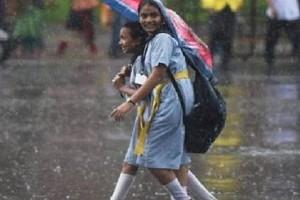 Tamil Nadu Rains: Holiday Announced for Schools and Colleges; Districts Listed!